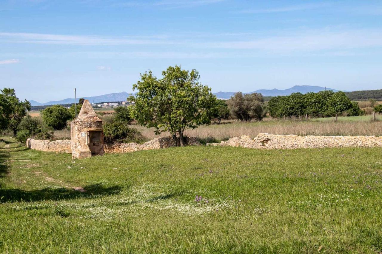 Ocells De Montgri Apartamento Rural En El Emporda Sobrestany ภายนอก รูปภาพ